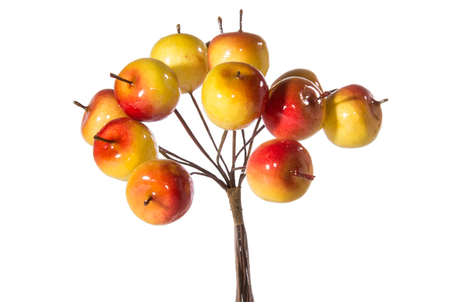 KFQ4646A, Набор яблок на вставках 12шт., D2,2x2,5xL11см, красный/желтый, 2066141553094