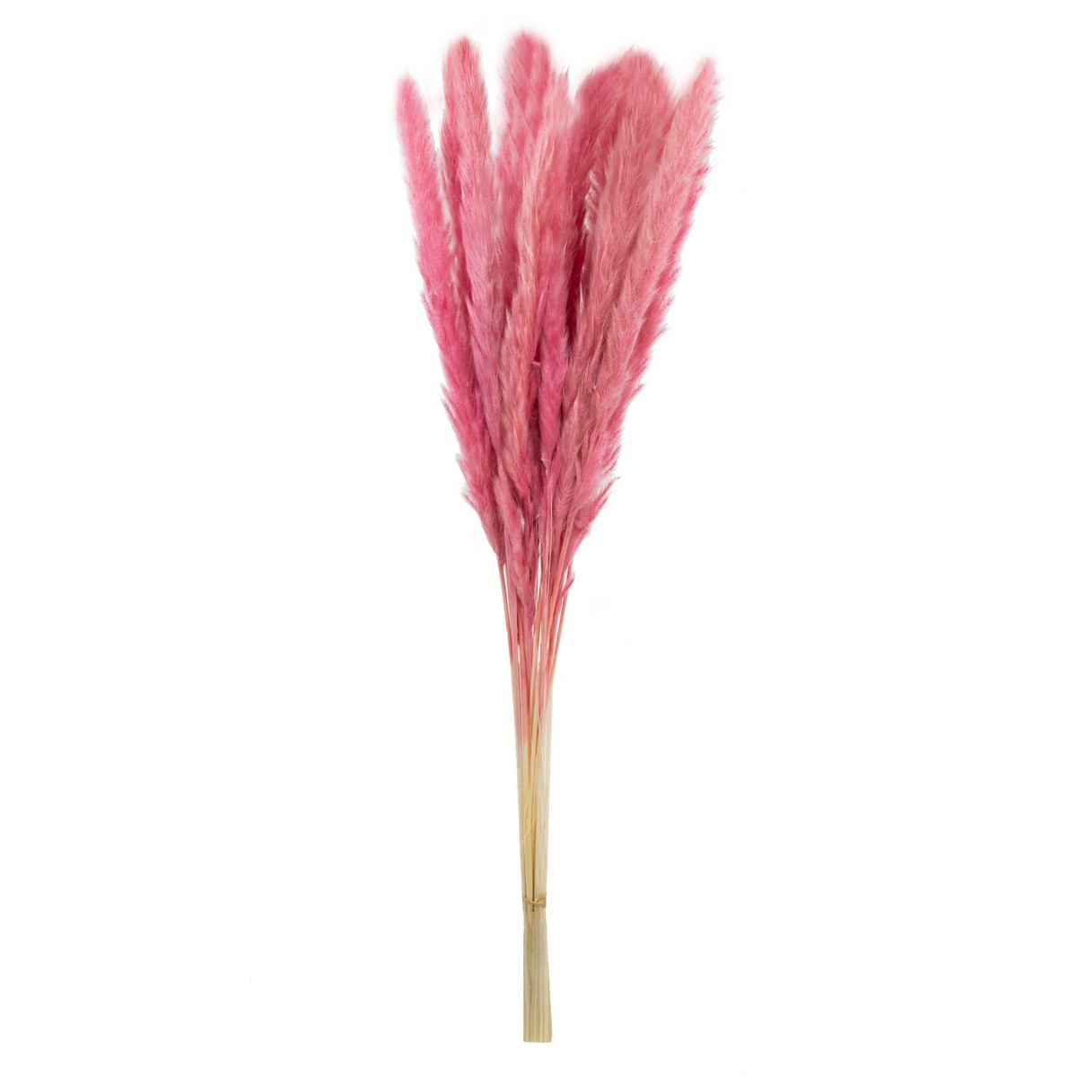 SP06, Набор пампасной травы мини 15шт., 60-70 см, ярко-розовый, 4627197667654