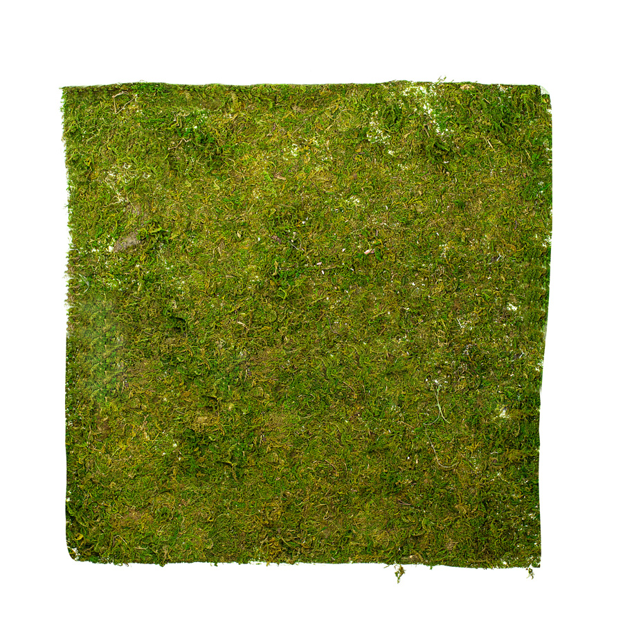 PNMM/3, Коврик (мох), 60x60x1см, зеленый, 2127161943293