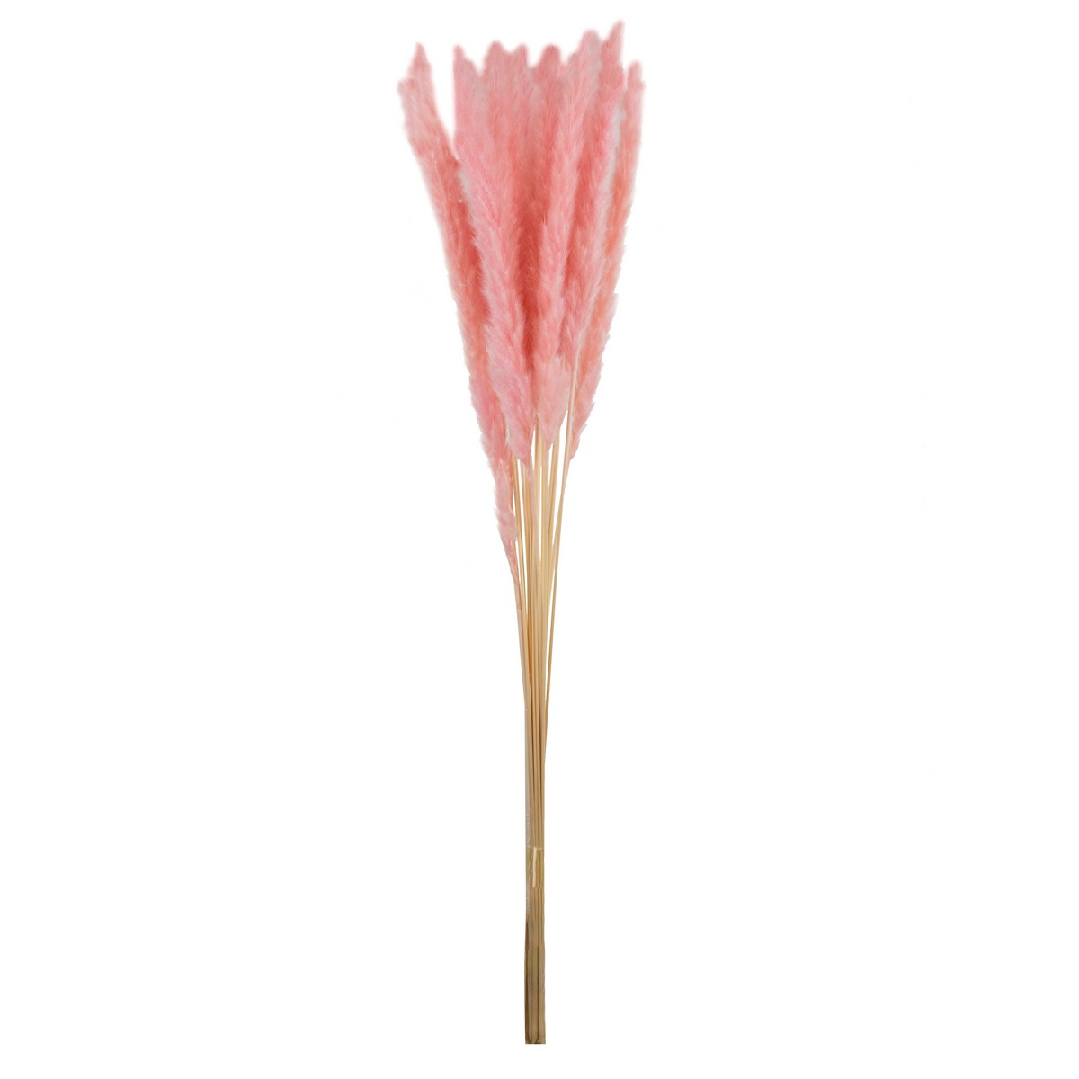 SP05, Набор пампасной травы мини 15шт., 60-70 см, розовый, 4627197667647