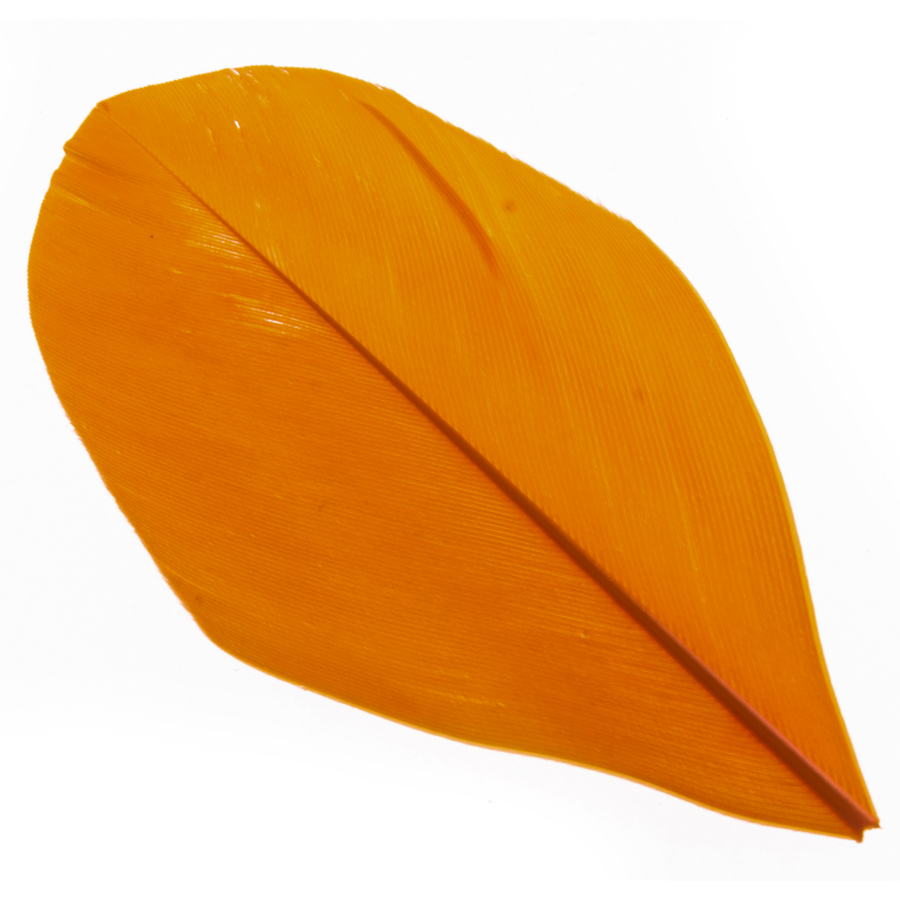 HJ-007-orange, Набор перьев, 96 шт., 6см, оранжевый, 2279141011420