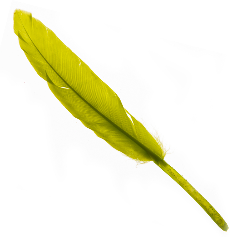 HJ-006-green, Набор перьев, 24 шт., 14см, зеленый/384 шт., 2281140957296