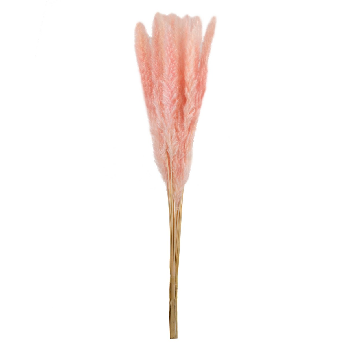 SP04, Набор пампасной травы мини 15шт., 60-70 см, светло-розовый, 4627197667630
